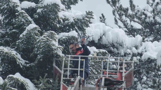 İ̇tfaiye Bu Kez Ağaca Takılı Kalan Dronu Kurtarmak İçin Seferber Oldu