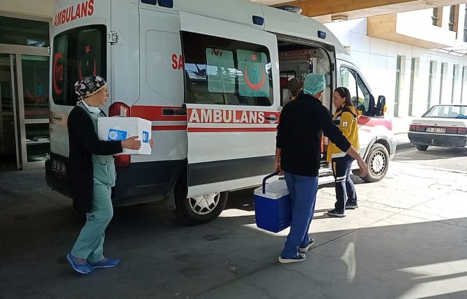 22 Yaşındaki Arife’nin Organları 4 Hastaya Umut Oldu