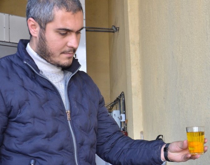 Elek Altı Çerezlik Ayçiçeği, Bu Tesiste Yağa Ve Küspeye Dönüşüyor