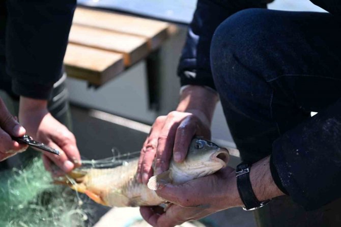 Kayseri İ̇ç Sularında Av Yasağı Başladı