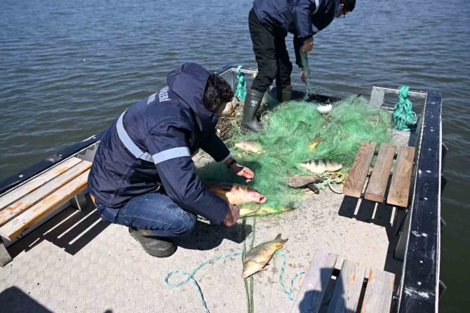 Kayseri İ̇ç Sularında Av Yasağı Başladı