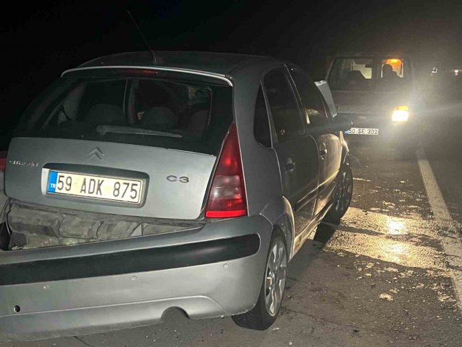 Nevşehir’de Başıboş Köpek Kazaya Neden Oldu: 1 Yaralı