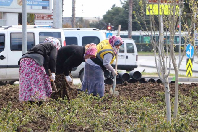 Samsun’un Refüjleri Kadınların Elinde Güzelleşiyor