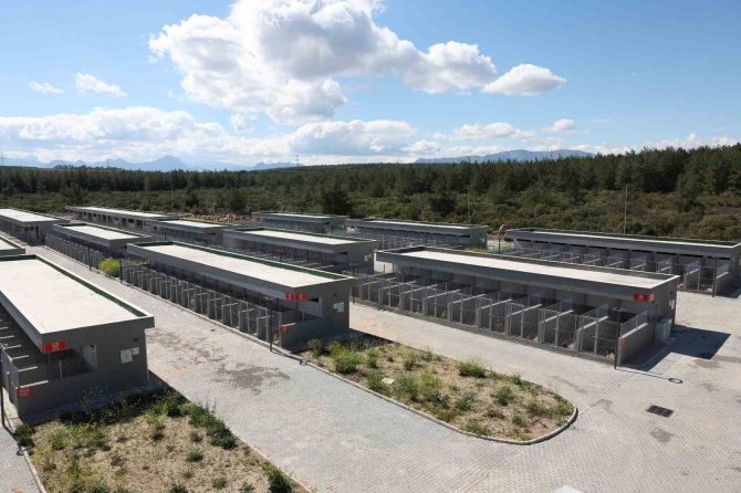 Antalya Büyükşehir Belediyesi Sokak Hayvanları Bakımevi Hizmette