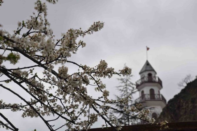 Tarihi Osmanlı Kasabasında Bahar Havası Yaşanıyor