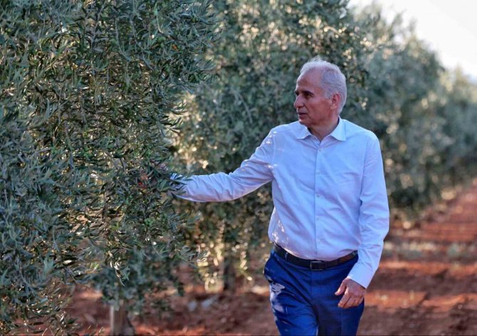 Denizli’de Zeytin Üreticilerine Biyoteknik Mücadele Desteği Verilecek