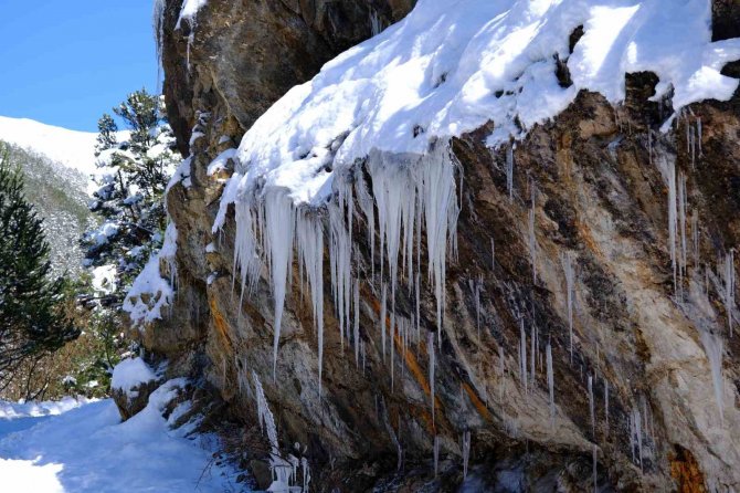 Gümüşhane’de Bahar Ayında Buzdan Şelaleler