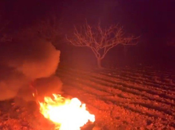 Şanlıurfa’da Çiftçiler Don Olayına Karşı Ağaçlarını Ateş Yakarak Korudu