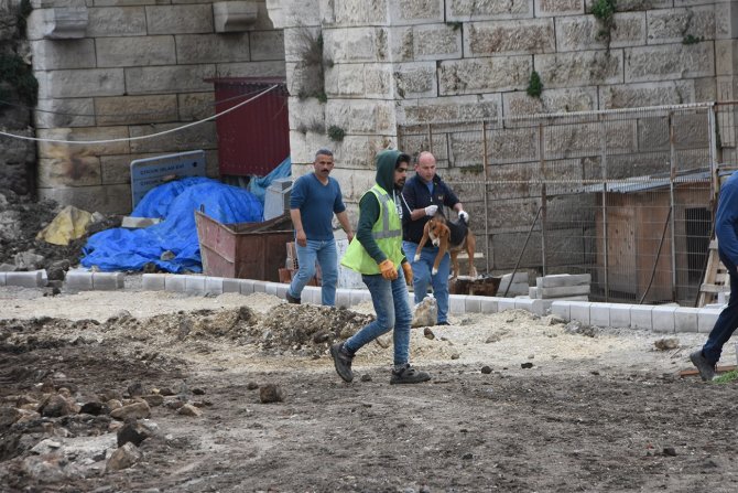 Sinop’ta Vatandaşlara Saldıran Sokak Köpekleri Toplandı