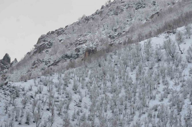 Şırnak Nisan Ayında Beyaza Büründü