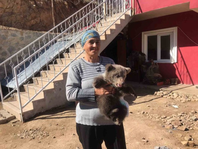 Bebek Bezli Yavru Ayı ‘Yogi’ Evin Maskotu Oldu