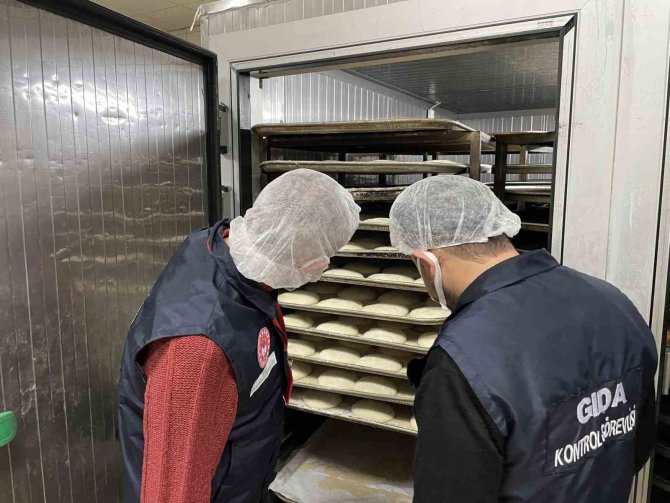 Market Ve Üretim Tesislerine Yönelik Gıda Denetimi