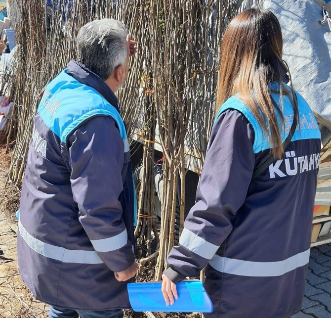 Altıntaş’ta Fidan Satışları Denetimleri