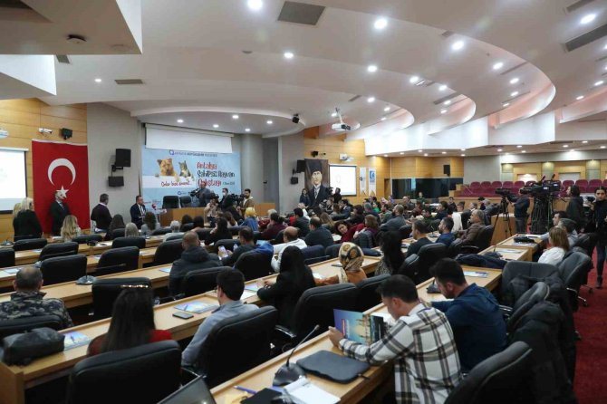 Başkan Böcek: “Sokak Hayvanlarına Desteğimiz Sürecek”