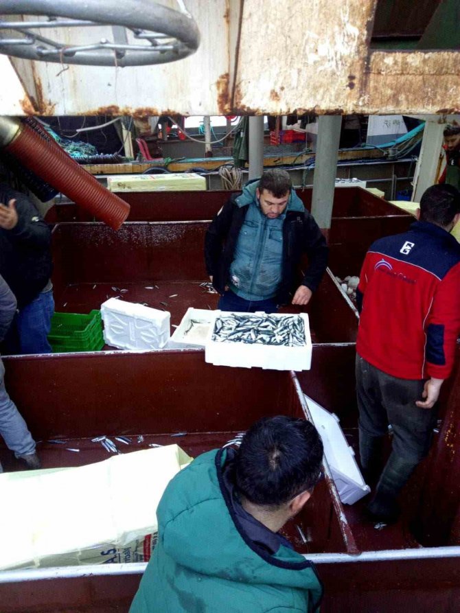 Gırgır Teknelerinde “Balık Boyu” Denetimi