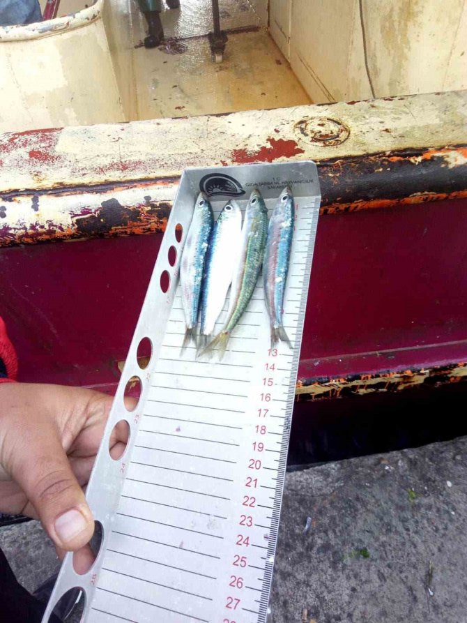 Gırgır Teknelerinde “Balık Boyu” Denetimi