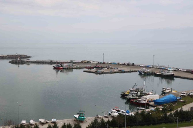 Balıkçılar Son 20 Yılın En Bereketli Av Sezonunu Geçirdi