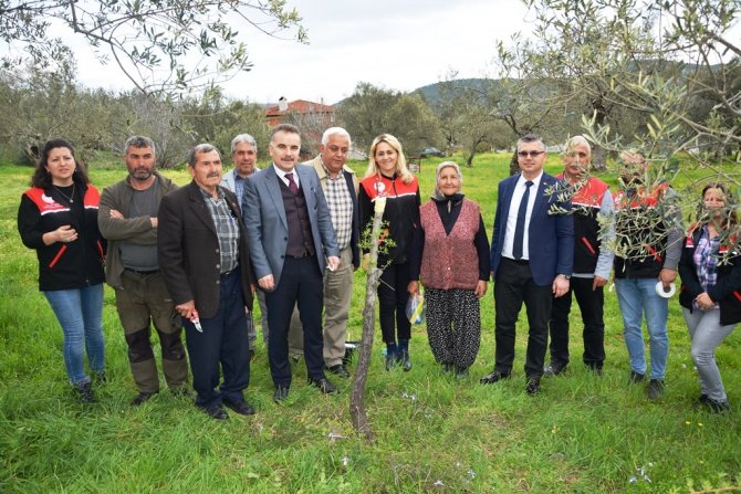 Hacıarslanlar Mahallesi’nde Aşılama Teknikleri Projesi Uygulamalı Olarak Gerçekleştirildi