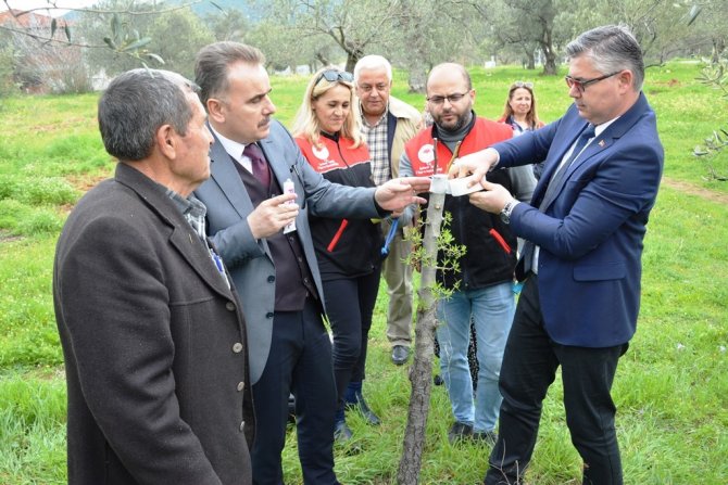 Hacıarslanlar Mahallesi’nde Aşılama Teknikleri Projesi Uygulamalı Olarak Gerçekleştirildi