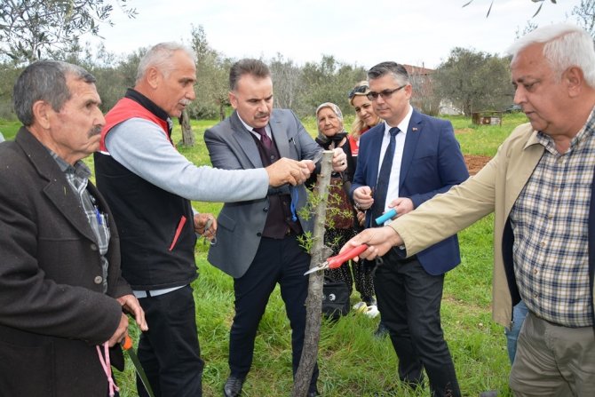 Hacıarslanlar Mahallesi’nde Aşılama Teknikleri Projesi Uygulamalı Olarak Gerçekleştirildi