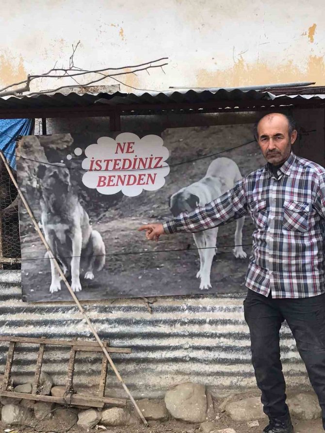 Sahiplendiği Köpeği Zehirlenen Adamdan Sitem Dolu Afiş