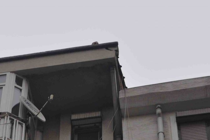 Bina Çatısında Endişe Uyandıran Tehlike Giderildi