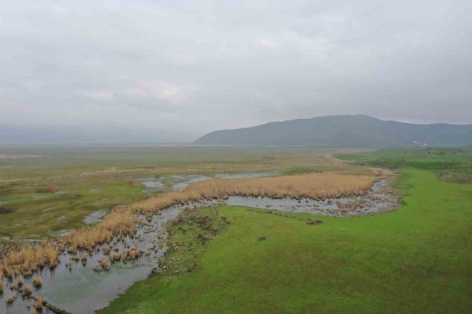 Güroymak’ta Kaçak Avcılığa Drone İle Denetim