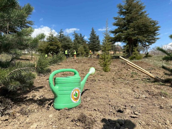 Elazığ’da ’Deprem Şehitleri Hatıra Ormanı’ Oluşturuldu