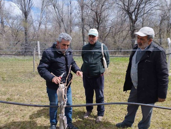 Elazığ’da Çiftçilere Bağ Budama Eğitimi