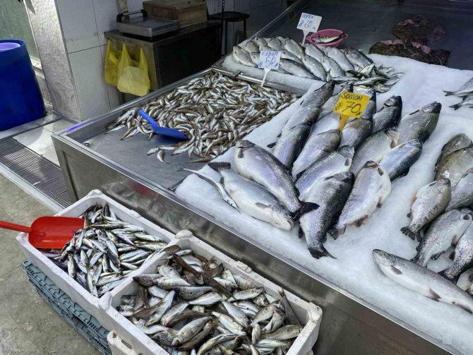 Ramazan’da Mezgit Ve Somon Rağbet Görüyor