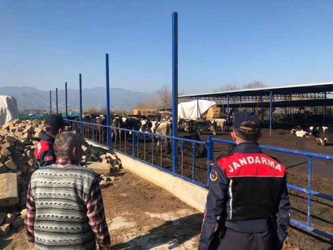 Jandarma Hayvan Hırsızlığına Karşı Bilgilendirdi