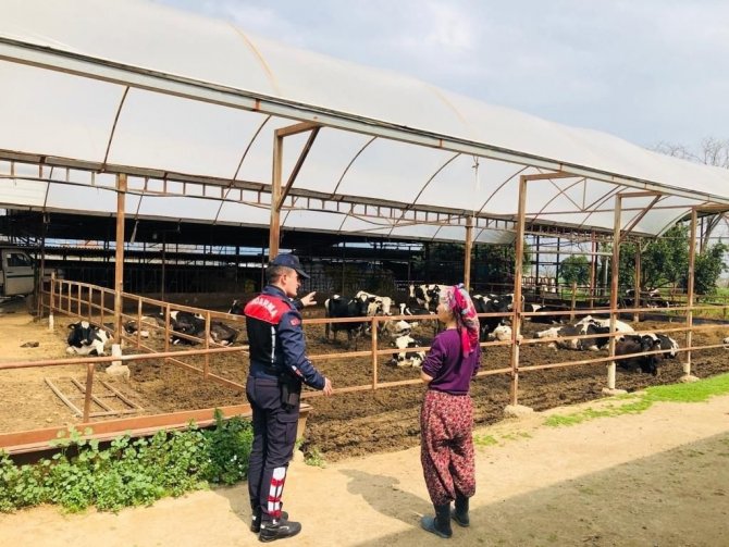 Jandarma Hayvan Hırsızlığına Karşı Bilgilendirdi
