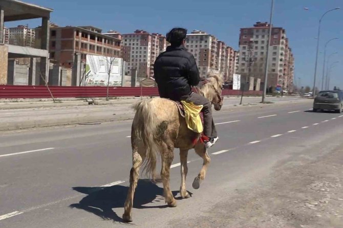 Depremzede Genç, Market Alışverişine At İle Gidiyor: Kanser Hastası Annesinin Eli Ayağı Oluyor