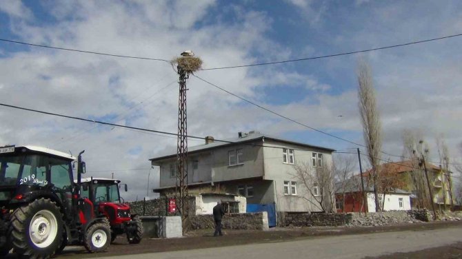 Baharın Müjdecisi Leylekler Kars’a Geldi