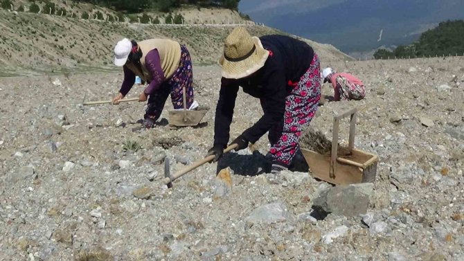 Kazdağları’ndaki Eski Maden Sahası Lavanta Kokacak