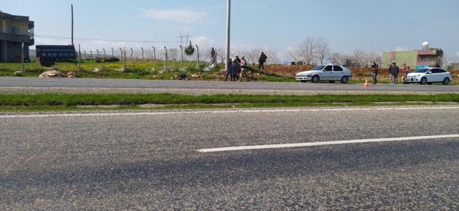 Yola Atlayan İnek Telef Oldu