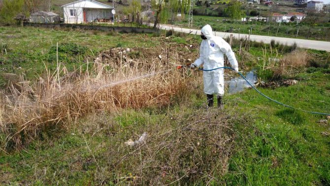 Sinop’ta Larva Oluşabilecek Bölgelerde İlaçlama Çalışması