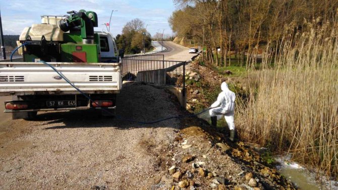 Sinop’ta Larva Oluşabilecek Bölgelerde İlaçlama Çalışması