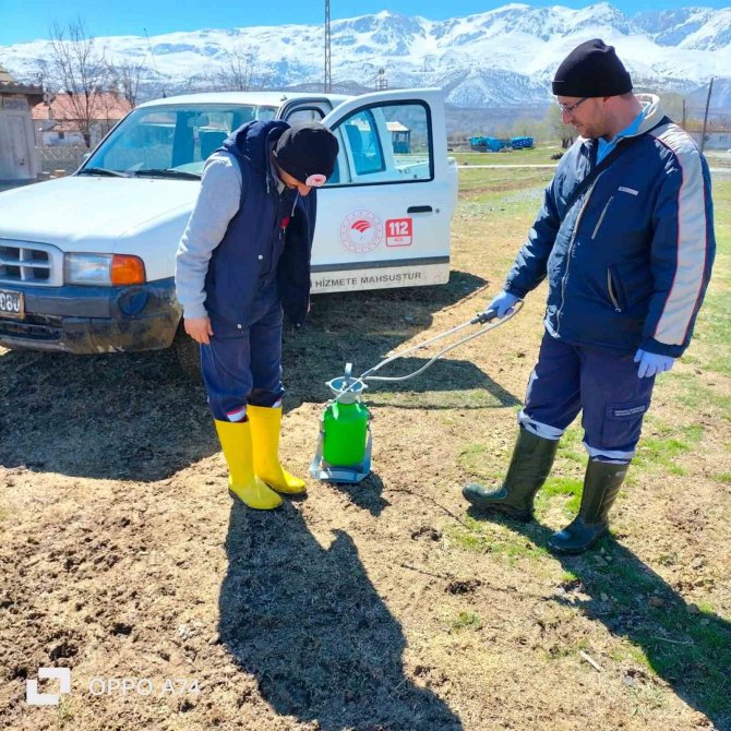Erzincan’da Şap Hastalığıyla Mücadele Sürüyor