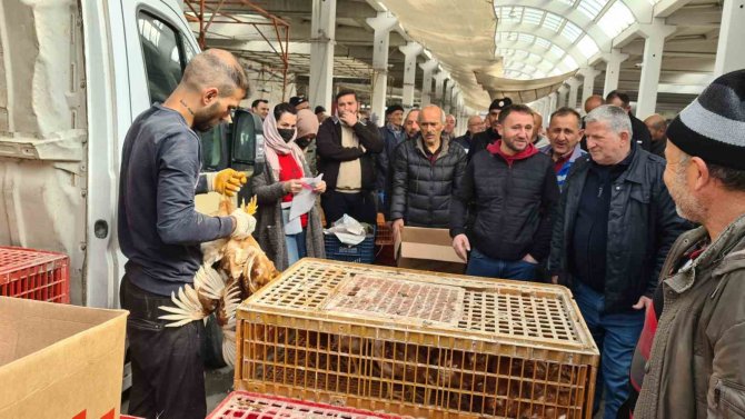 Alaplı Ziraat Odası, Çiftçilere Tavuk Dağıttı