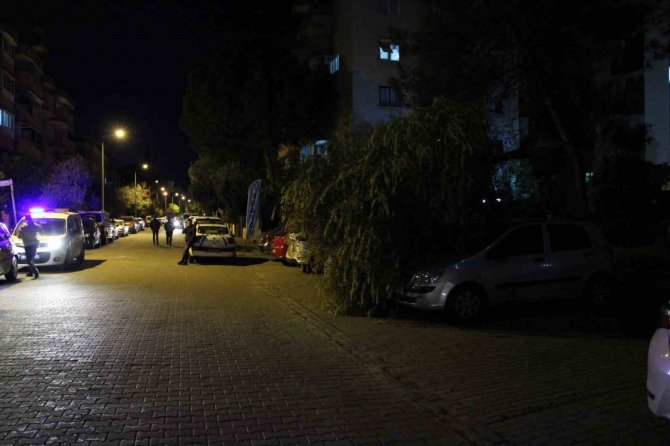 Vatandaşın Dikkati Devrilen Ağaçtan Otomobilleri Kurtardı
