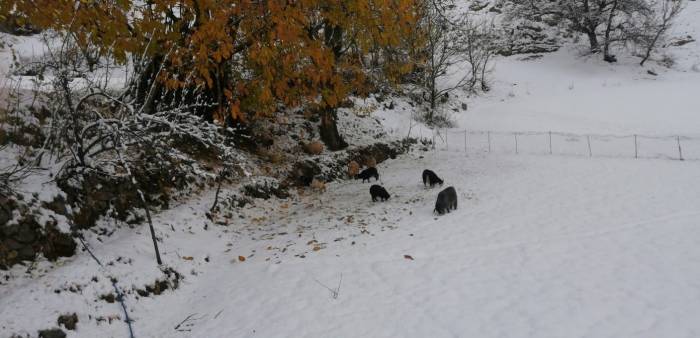 Batman’da Nisan Ortasında Etkili Olan Kar, Köyleri Beyaza Bürüdü