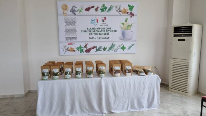 Elazığ Hipodromu’nda Tıbbi Aromatik Bitki Üretiminden İlk Hasat Yapıldı