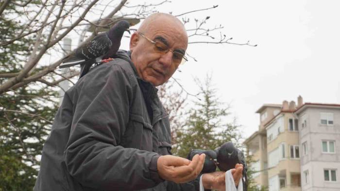 Her Gün Aynı Saatte Gelerek Güvercinleri Elleriyle Besliyor