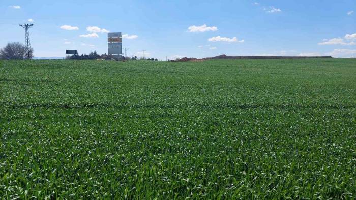 Kırmızı Alarmlı Kuraklık Sonrası Nisan Yağışları Umut Oldu