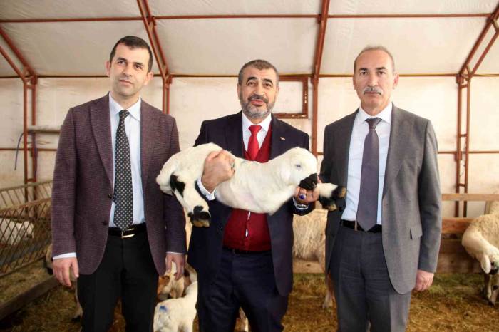 Bilimsel Çalışmalar İçin Kurulmuştu, Elde Edilen Gelir Burs Olarak Verilecek