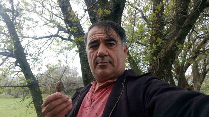 Fiyatı 700 Lirayı Bulan Kuzugöbeği Gelir Kapısı Oldu