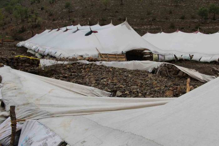 Şırnak’ta Sel 205 Hayvanı Telef Etti