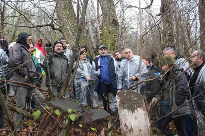 2 İldeki Ormanlar Kestane Ve Kestane Balı Üretiminin Merkezi Olacak