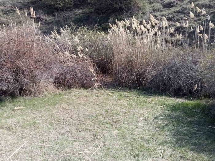 Ankara’da Kafası Koparılmış 45 Günlük Ceset Bulundu